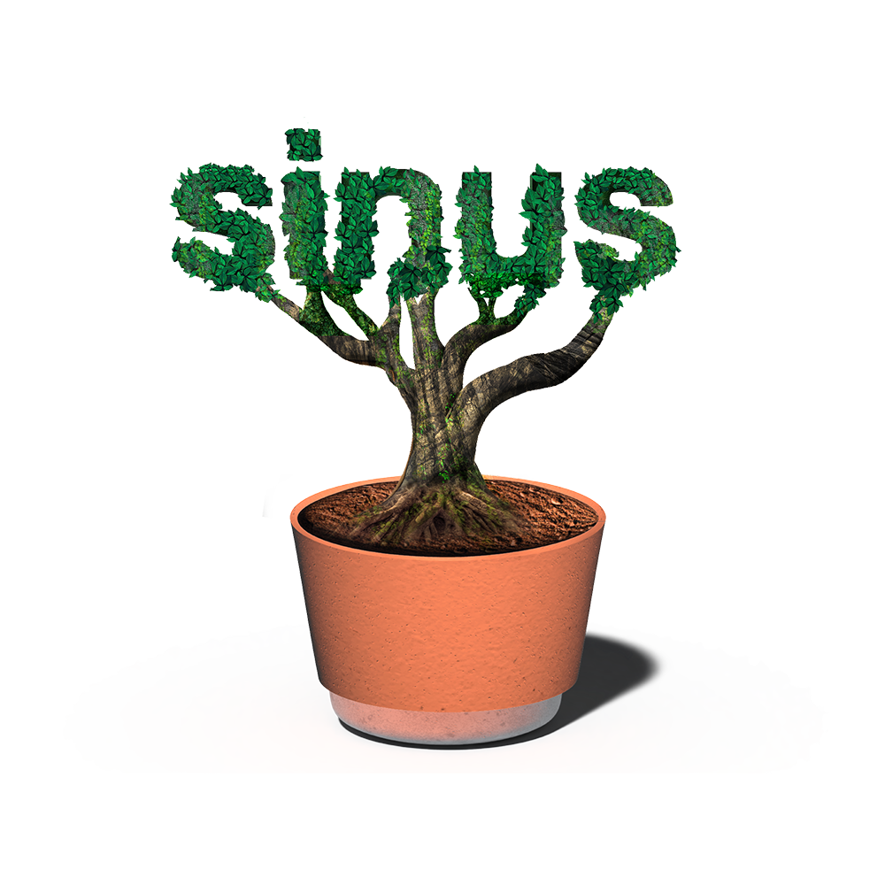 sinus pflanze
