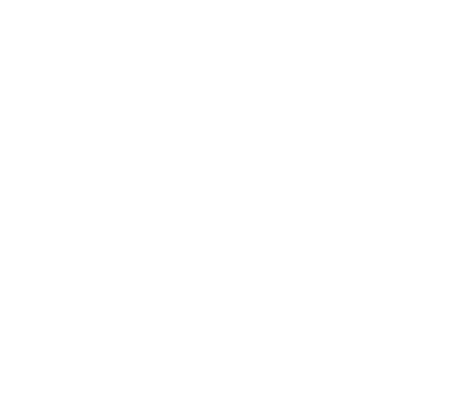 rigging icon